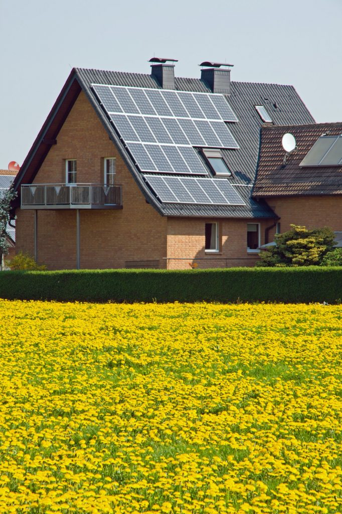 Home with solar panels and yellow dandelion